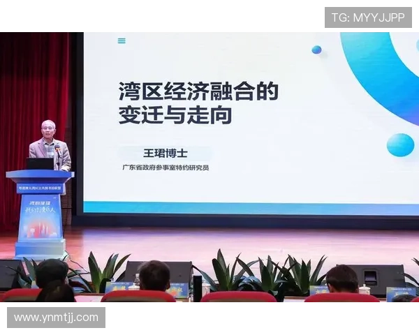 深圳企业家创新引领湾区高质量发展新格局探析路径与实践的研究思